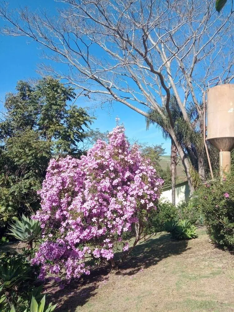 Chácara, 6 quartos, 9070 m² - Foto 6