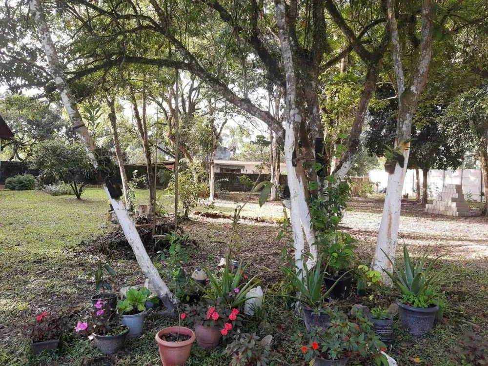 Chácara, 5 quartos, 7000 m² - Foto 4
