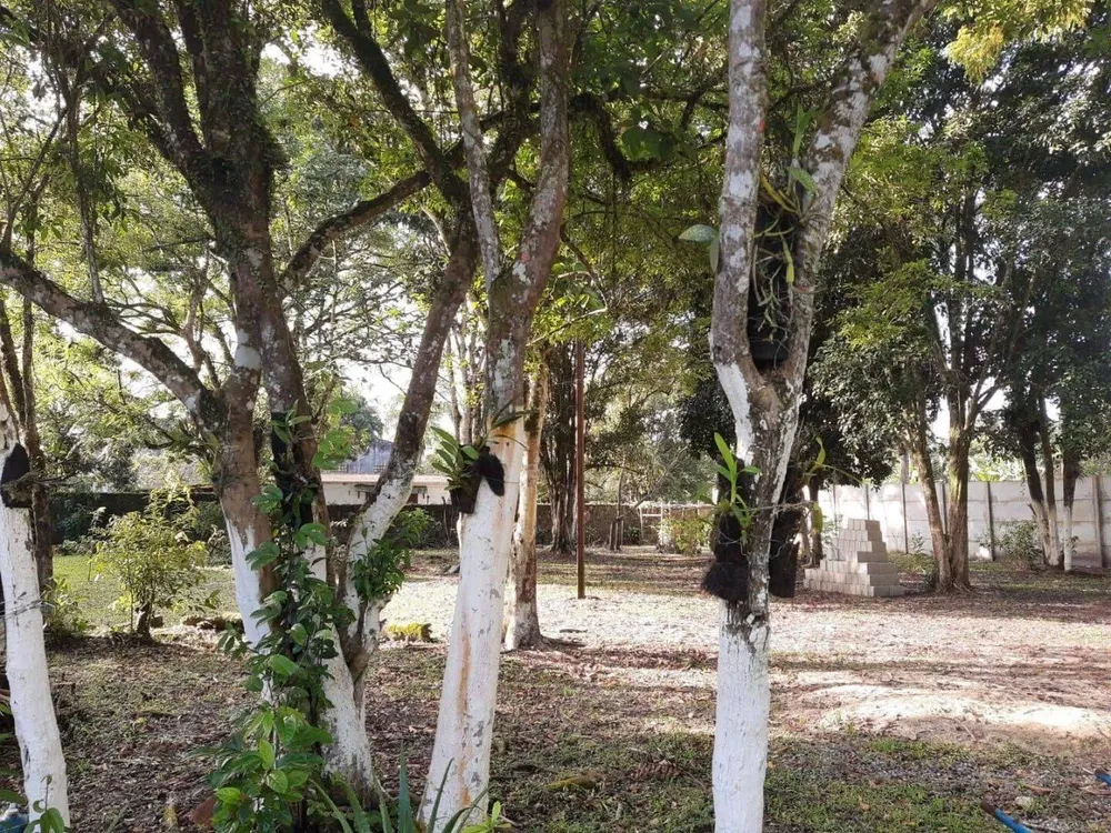 Chácara, 5 quartos, 7000 m² - Foto 5