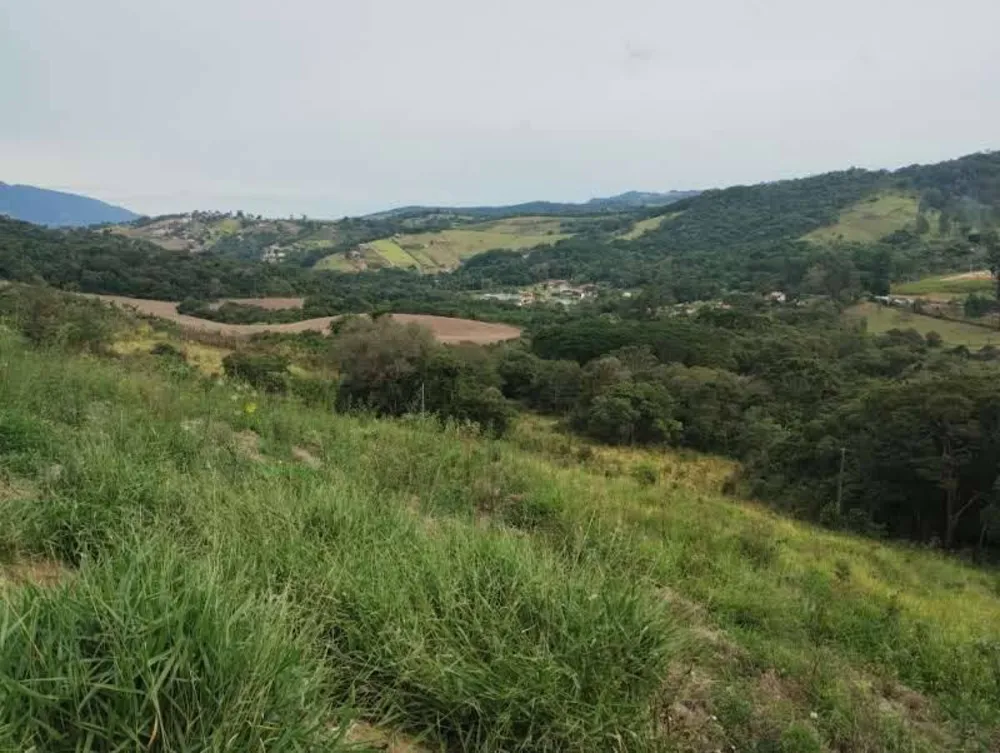 Prédio Inteiro - Foto 1
