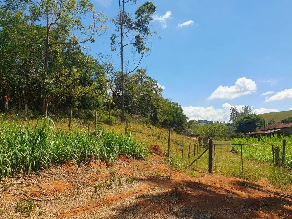 Sítio, 6 quartos, 3 hectares - Foto 4
