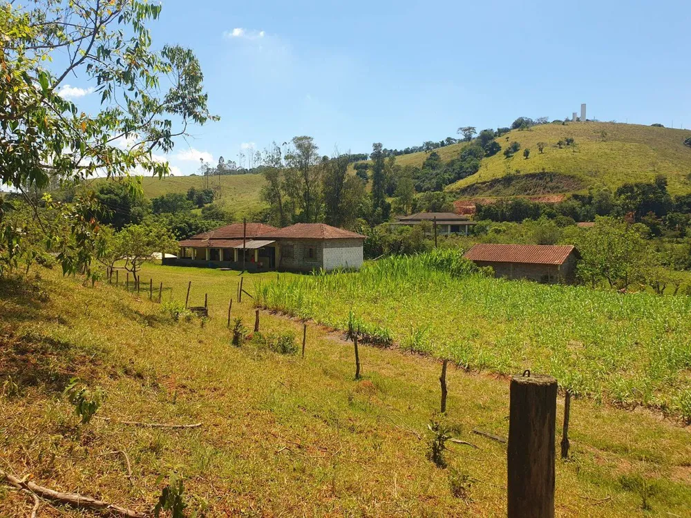 Sítio, 6 quartos, 3 hectares - Foto 3