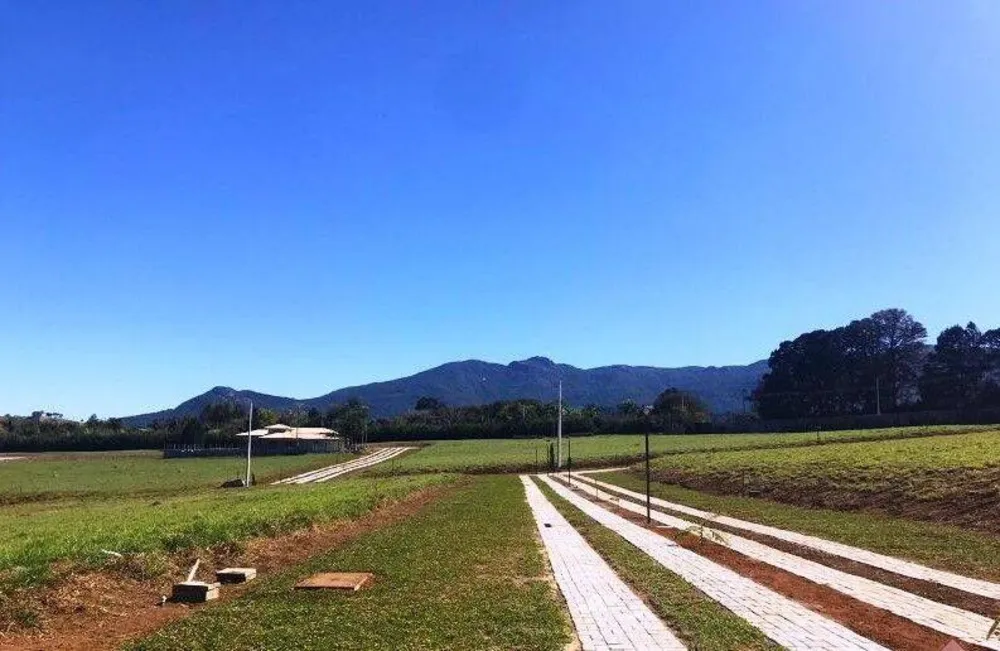 Terreno, 1000 m² - Foto 9