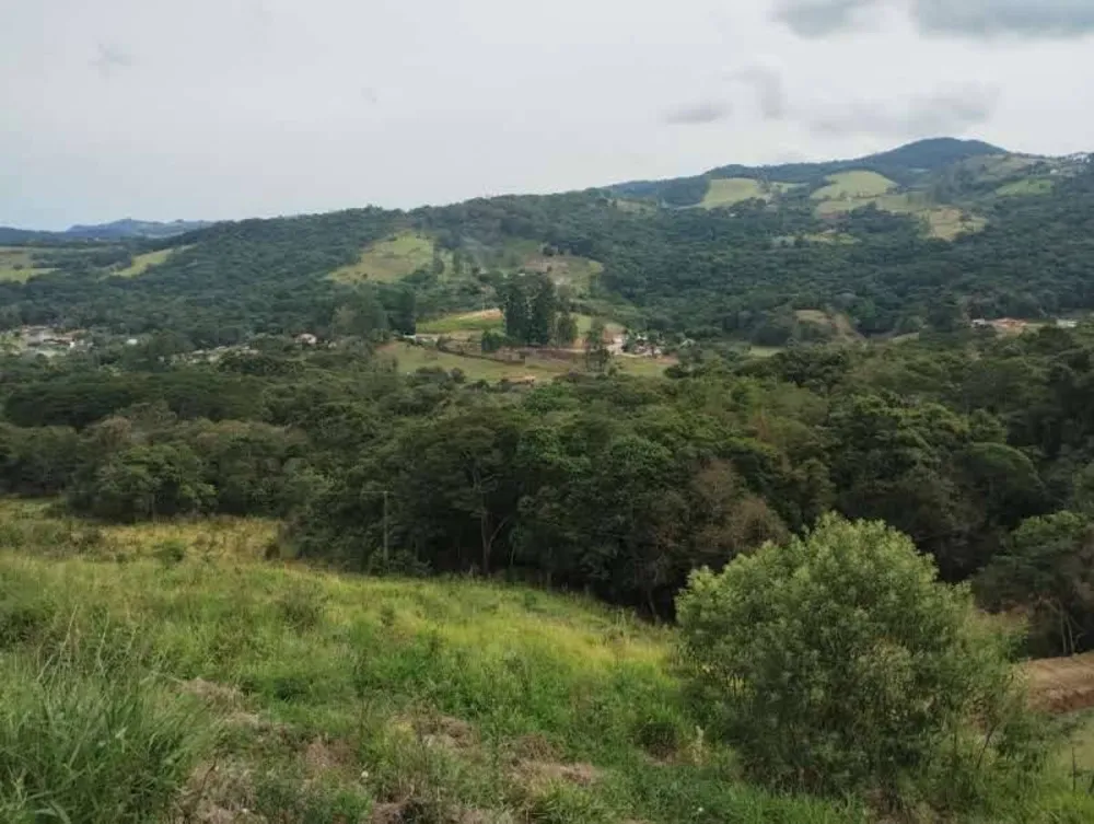 Prédio Inteiro - Foto 5