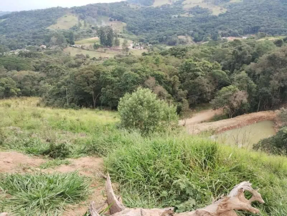 Prédio Inteiro - Foto 2