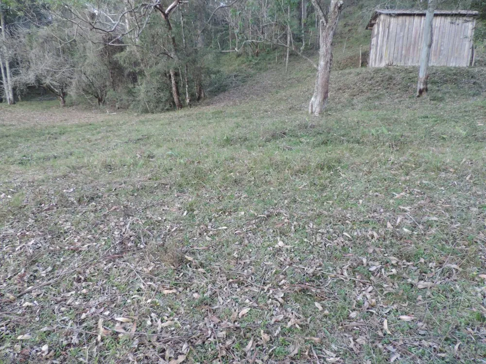 Sítio, 2 quartos, 100 hectares - Foto 2