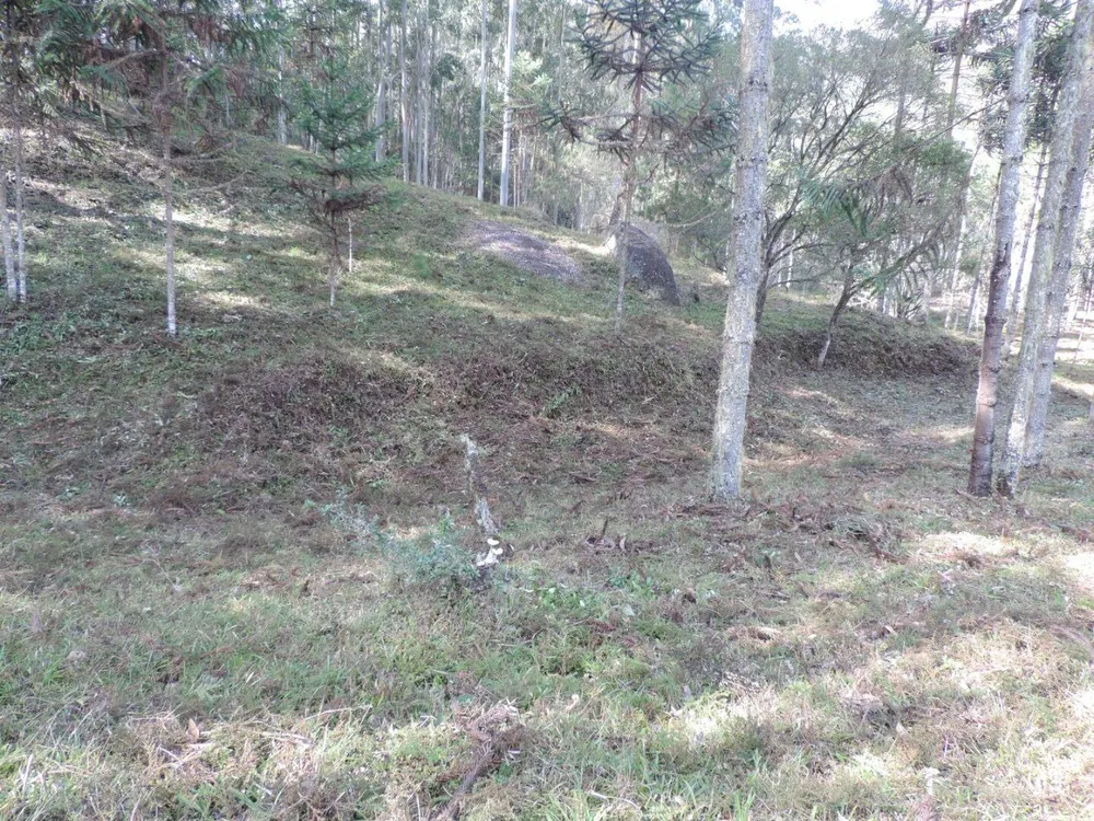 Sítio, 2 quartos, 100 hectares - Foto 10