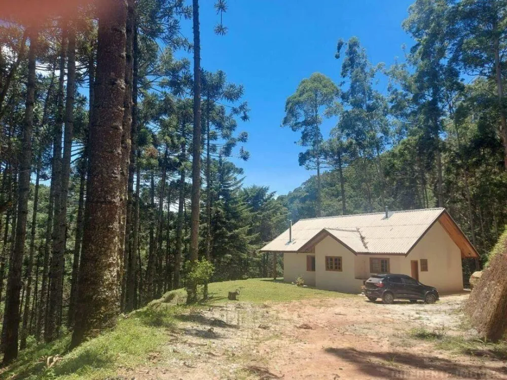 Sítio, 2 quartos, 100 hectares - Foto 1