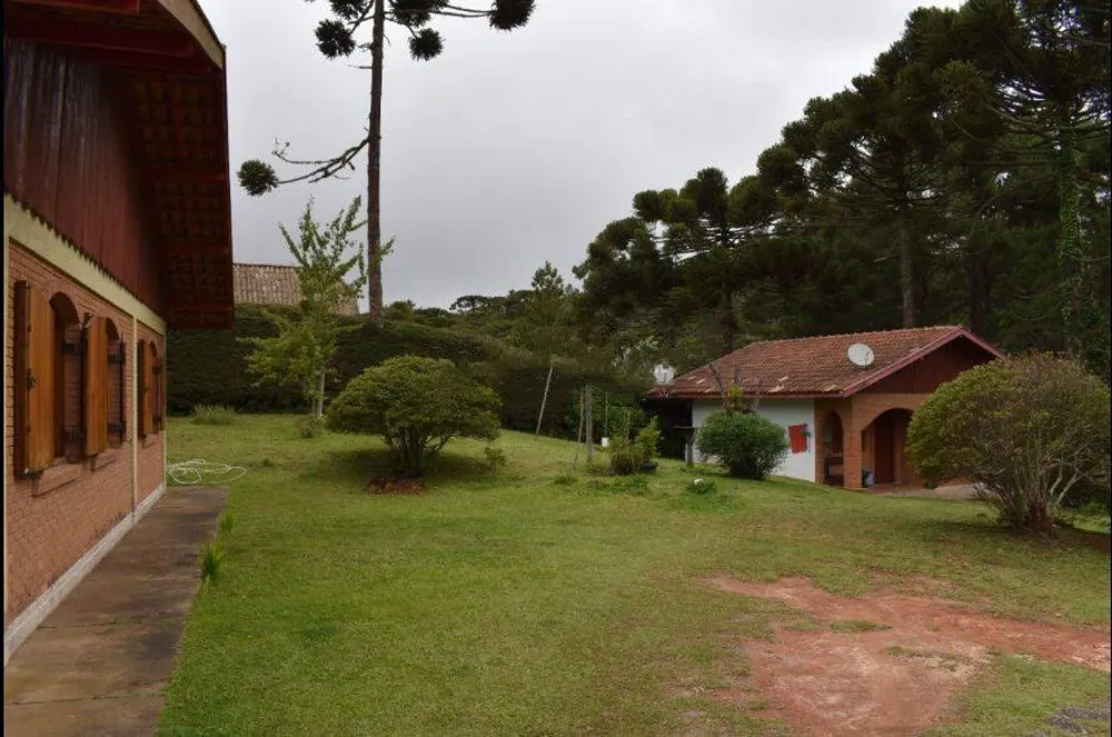 Sítio, 3 quartos, 1500 m² - Foto 10