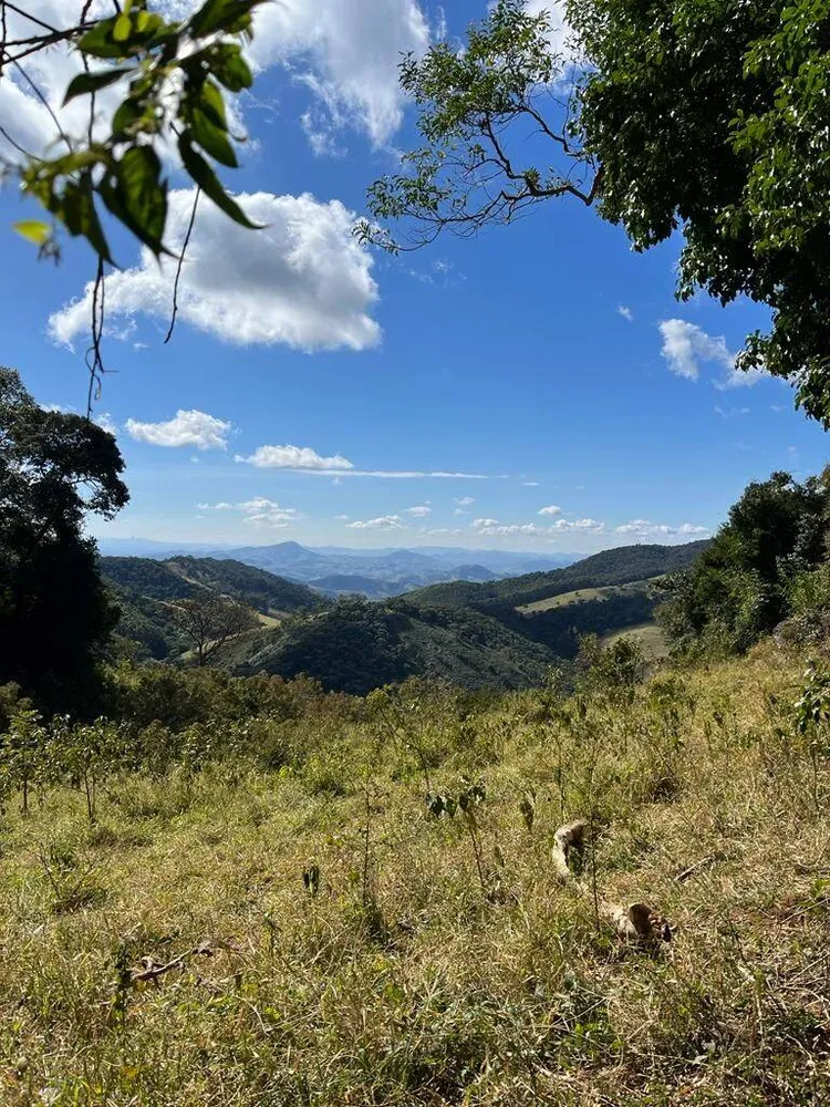 Fazenda, 69 hectares - Foto 1