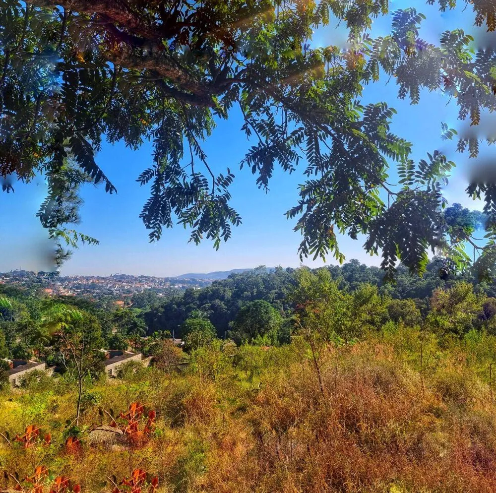 Terreno, 2670 m² - Foto 4