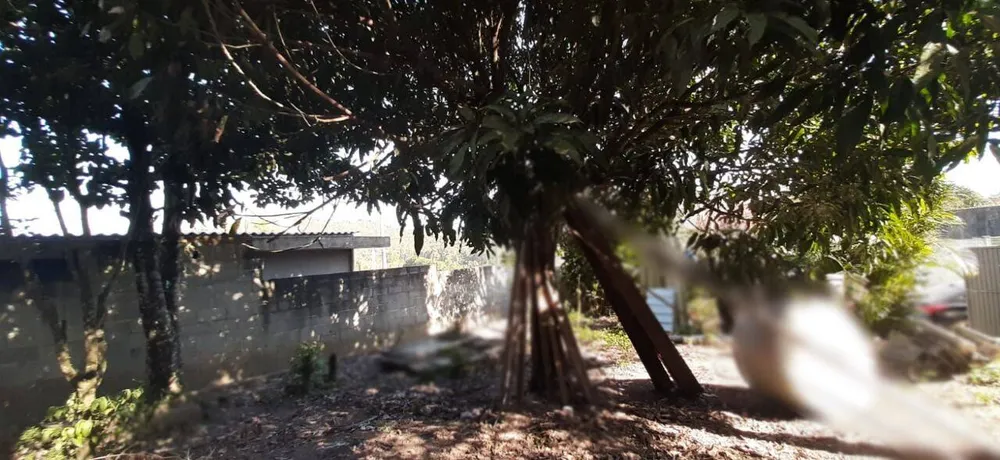 Chácara, 1 quarto, 600 m² - Foto 12
