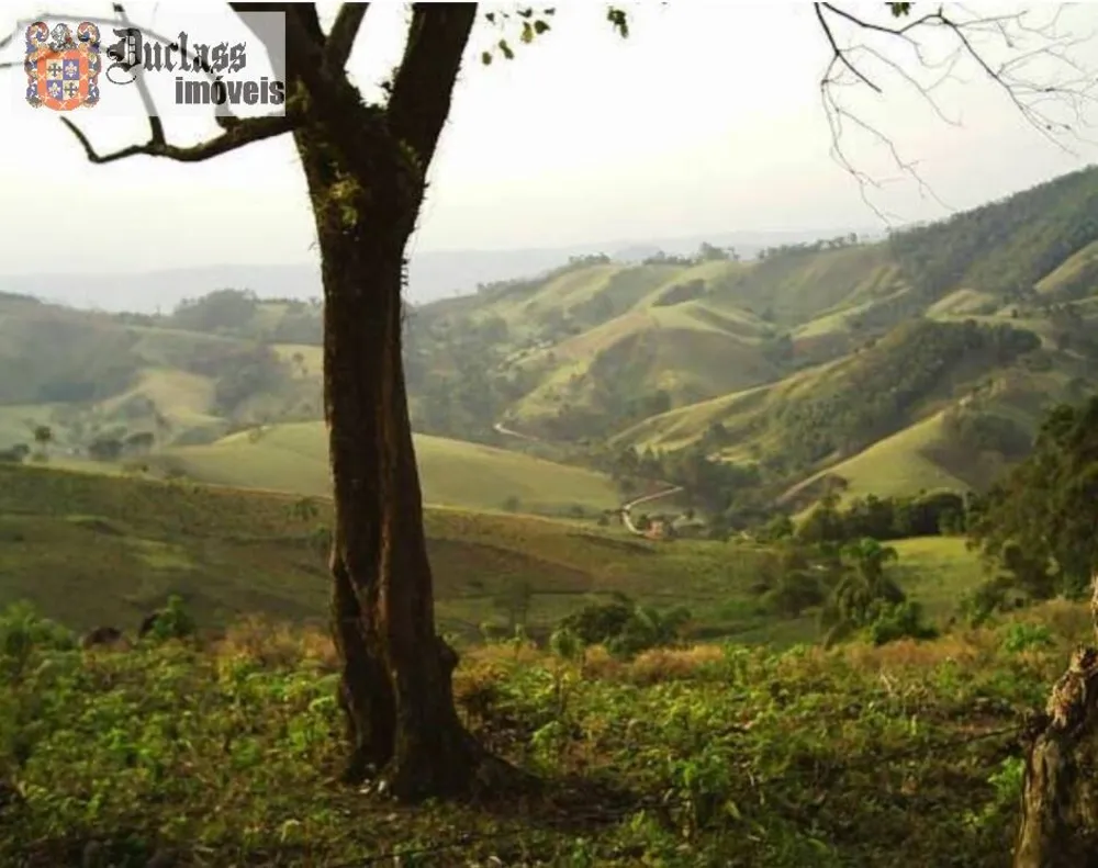 Terreno, 5 hectares - Foto 3