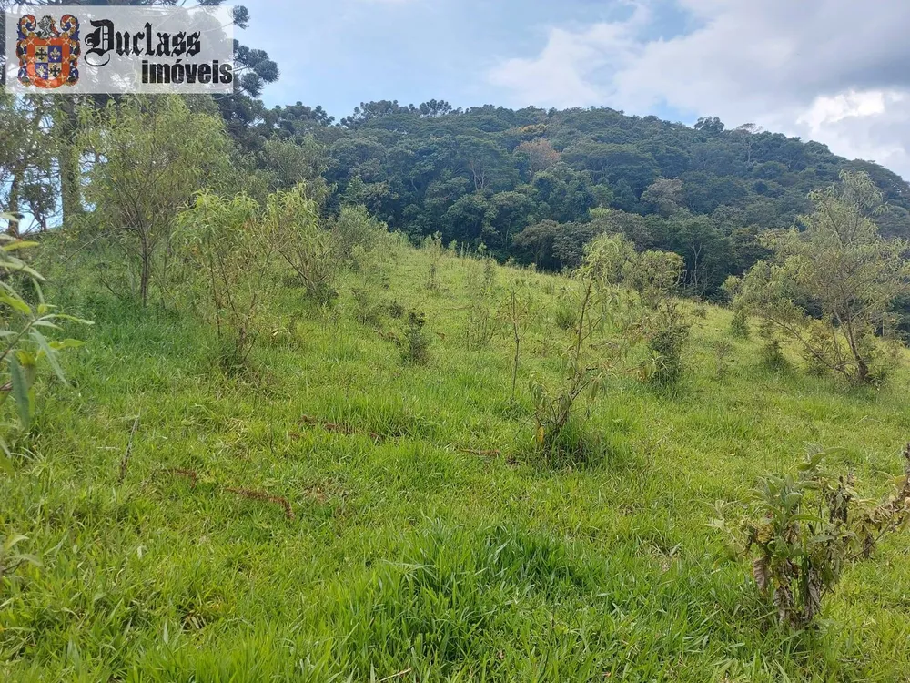 Terreno, 5 hectares - Foto 4