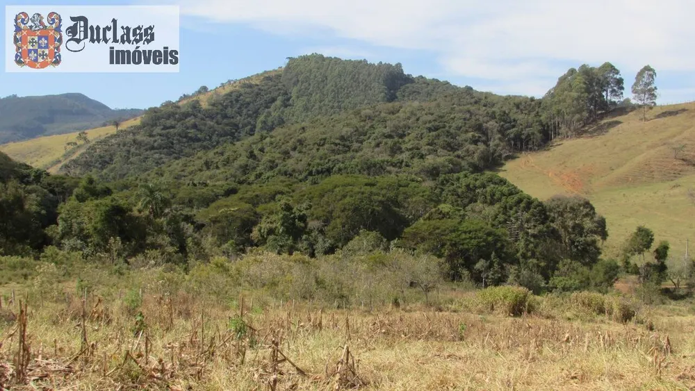 Terreno, 5 hectares - Foto 4