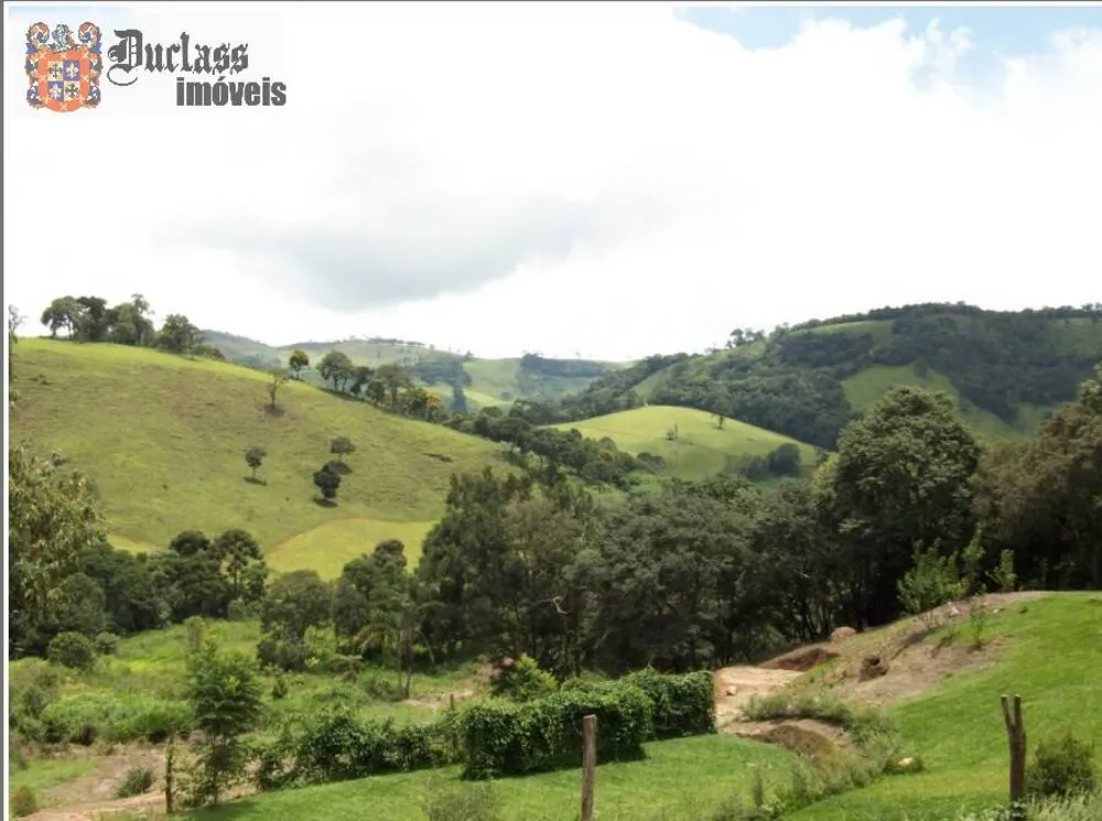 Terreno, 5 hectares - Foto 1