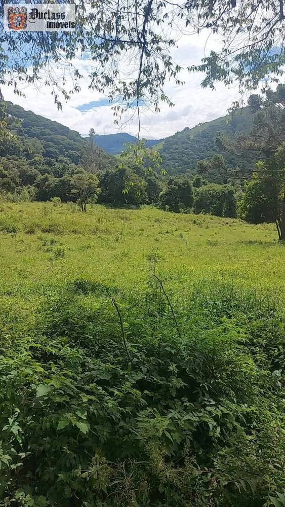 Terreno, 5 hectares - Foto 7