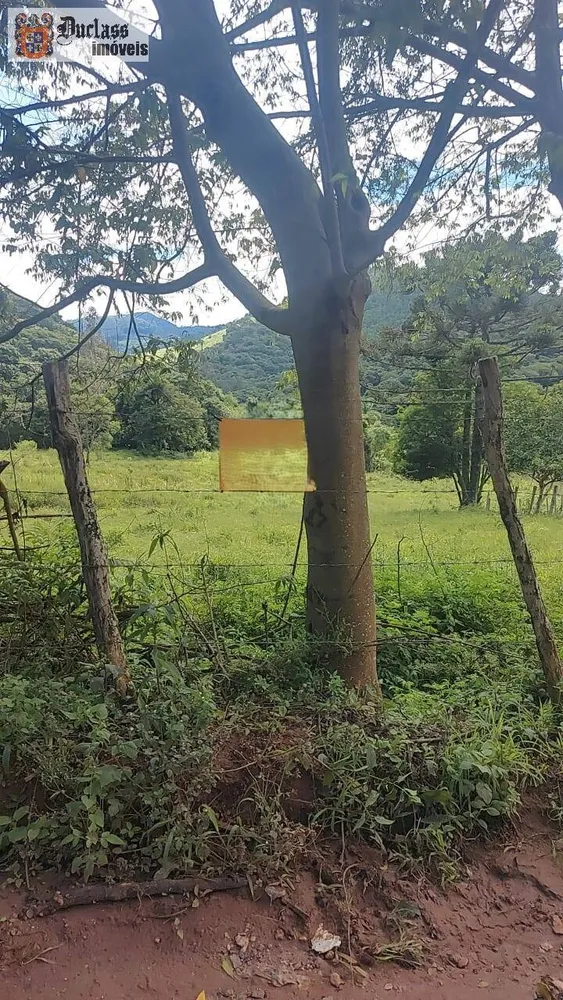 Terreno, 5 hectares - Foto 8