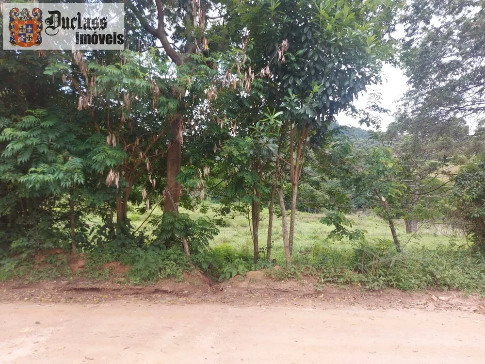 Terreno, 5 hectares - Foto 9