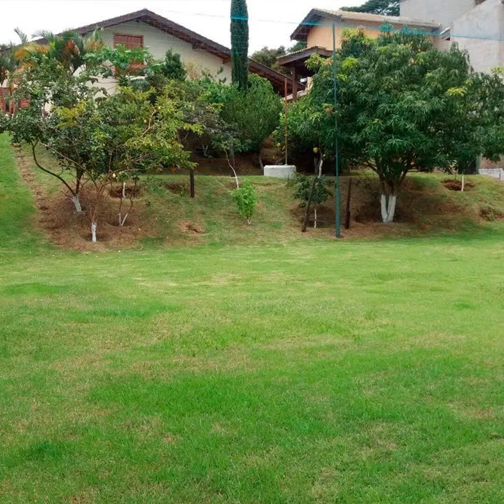 Chácara, 3 quartos, 1100 m² - Foto 3