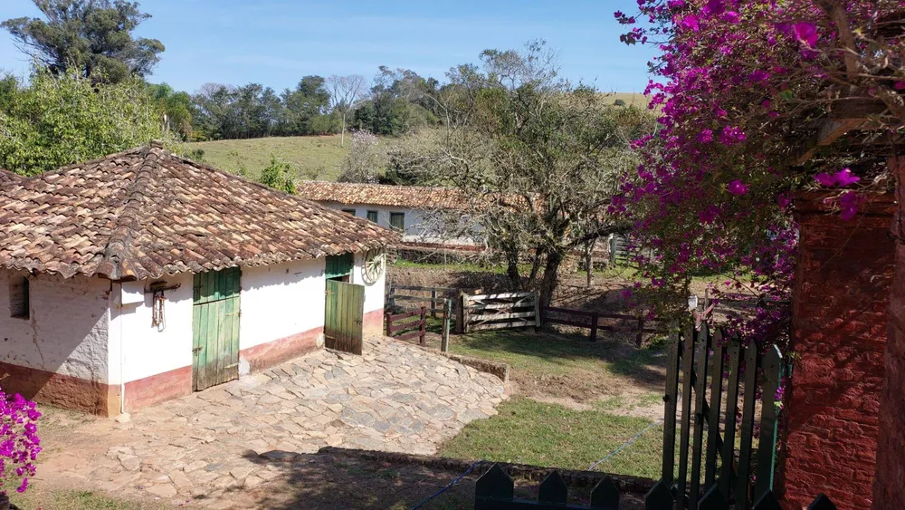 Fazenda, 131 hectares - Foto 7