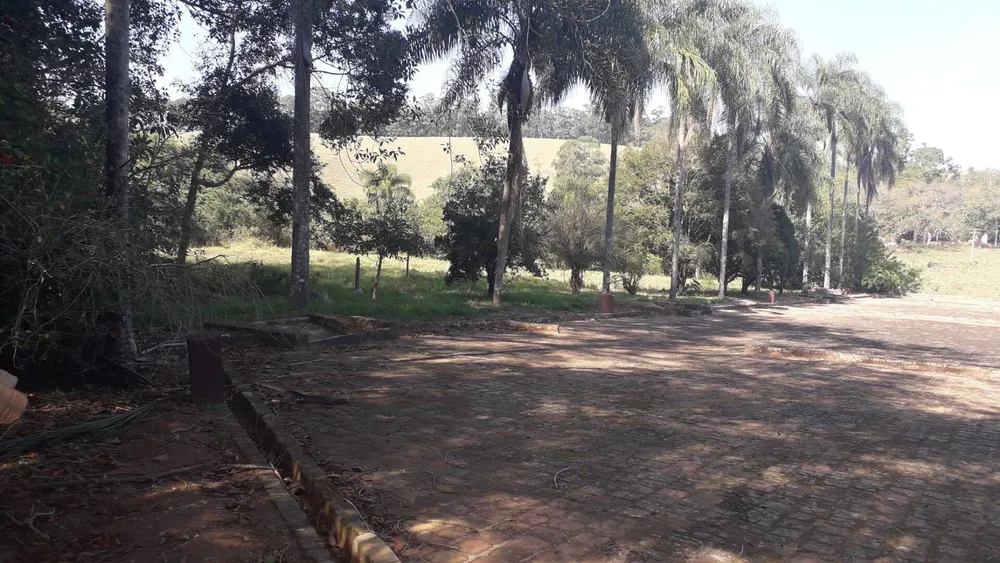 Fazenda, 131 hectares - Foto 6