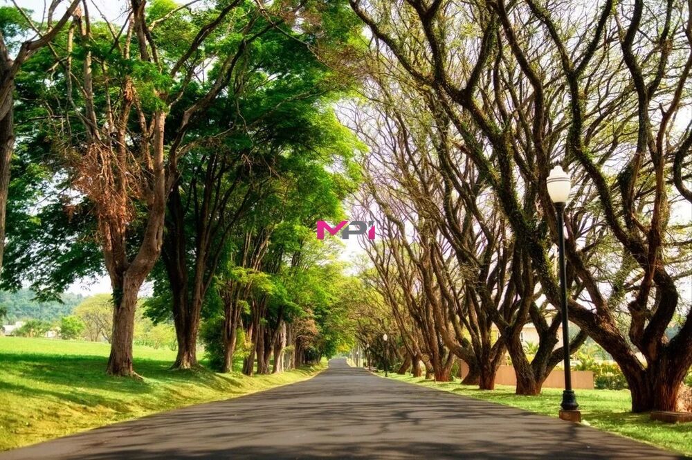 Terreno, 1482 m² - Foto 2