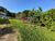 Terreno, 1900 m² - Foto 2