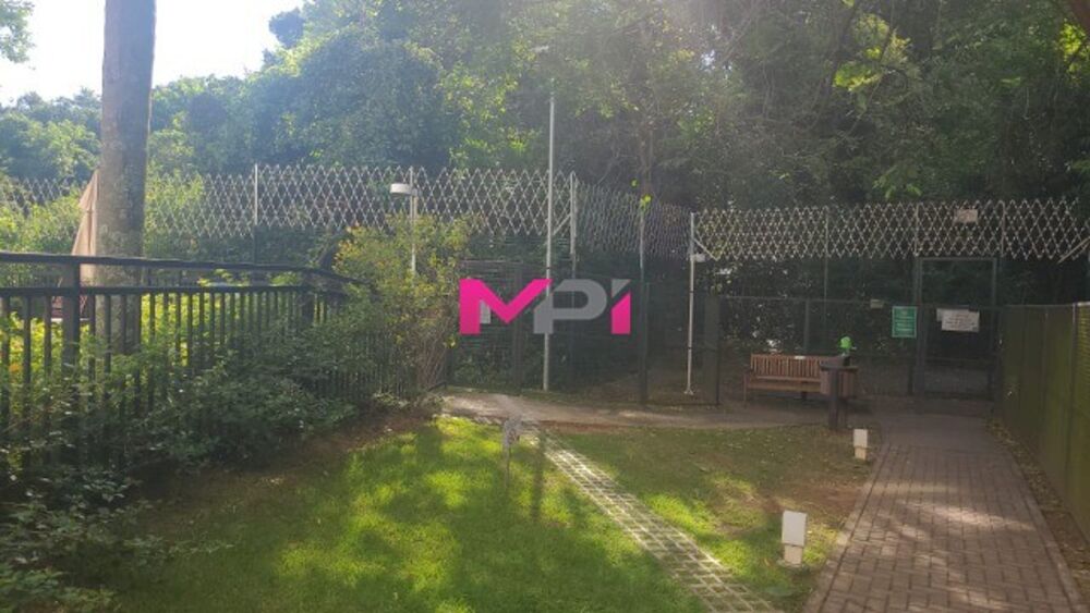 Apartamento para alugar com 2 quartos, 83m² - Foto 14