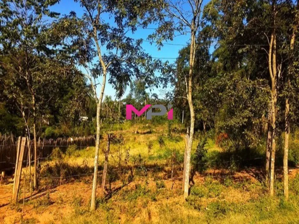 Terreno, 4000 m² - Foto 3