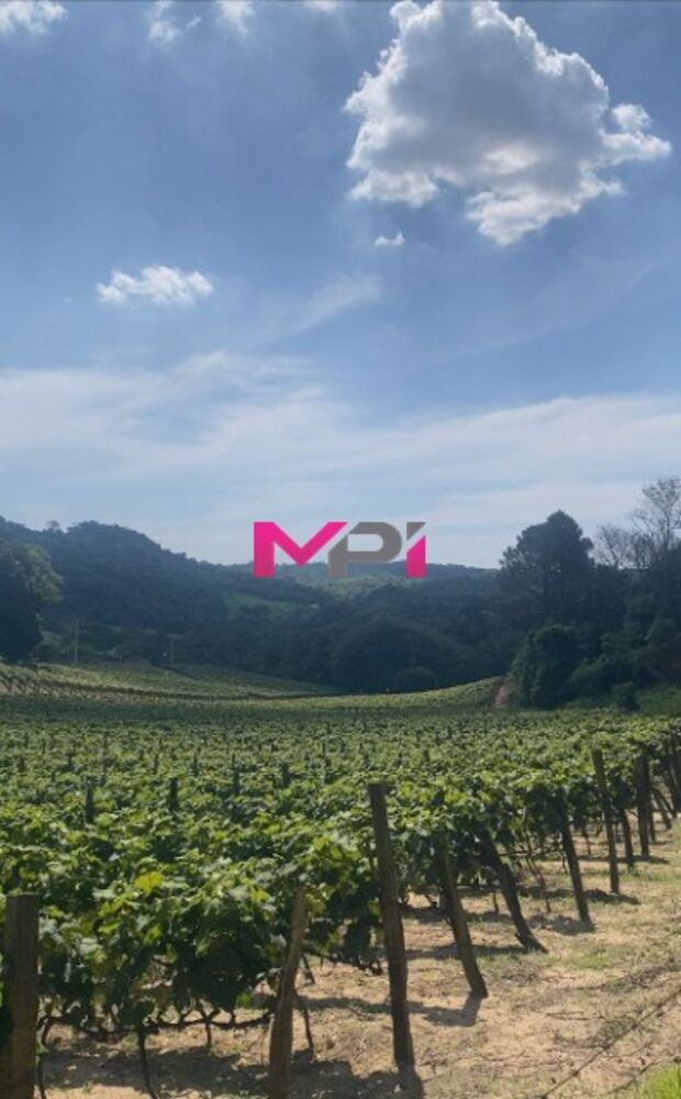 Terreno, 2598 m² - Foto 11