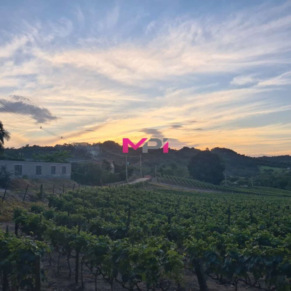 Terreno, 2598 m² - Foto 12