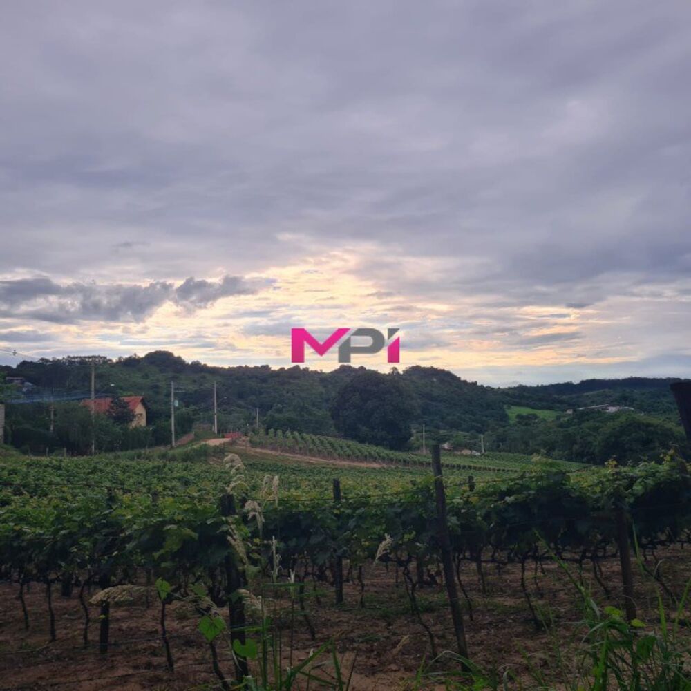 Terreno, 2598 m² - Foto 13