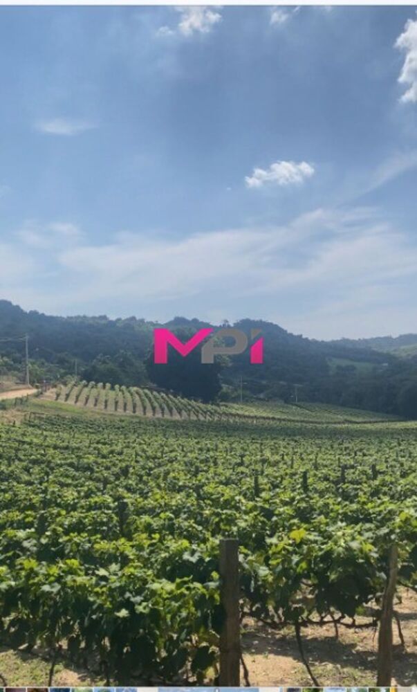 Terreno, 2598 m² - Foto 6