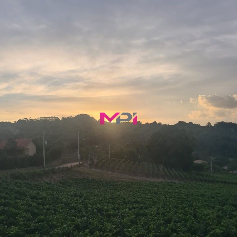 Terreno, 2598 m² - Foto 4