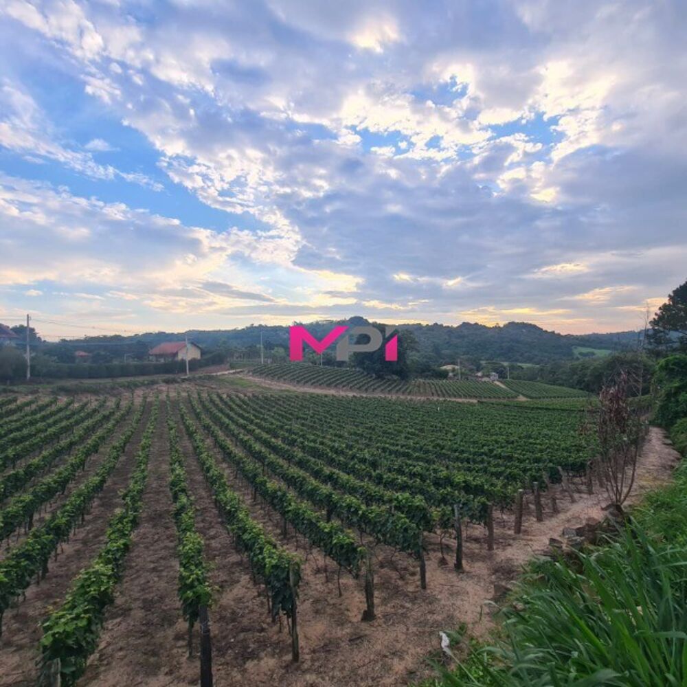 Terreno, 2598 m² - Foto 9