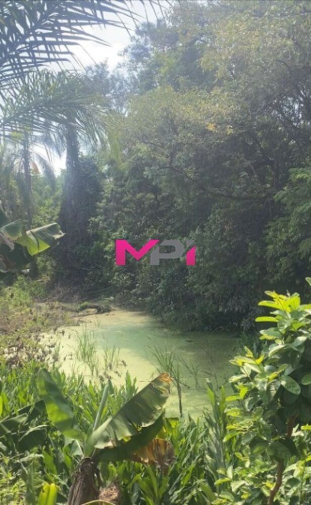 Terreno, 2598 m² - Foto 8