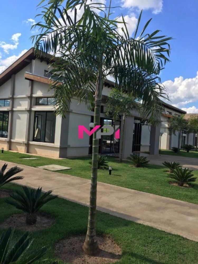 Terreno, 820 m² - Foto 4