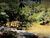 Terreno, 150 m² - Foto 3