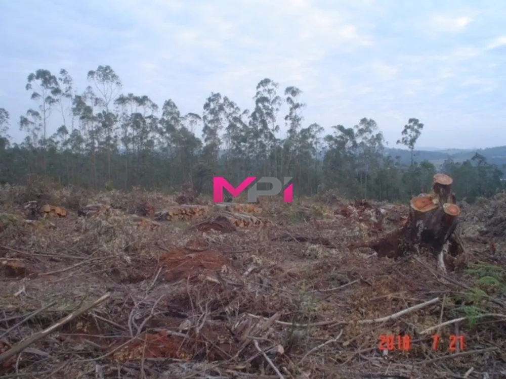 Terreno, 20000 m² - Foto 8