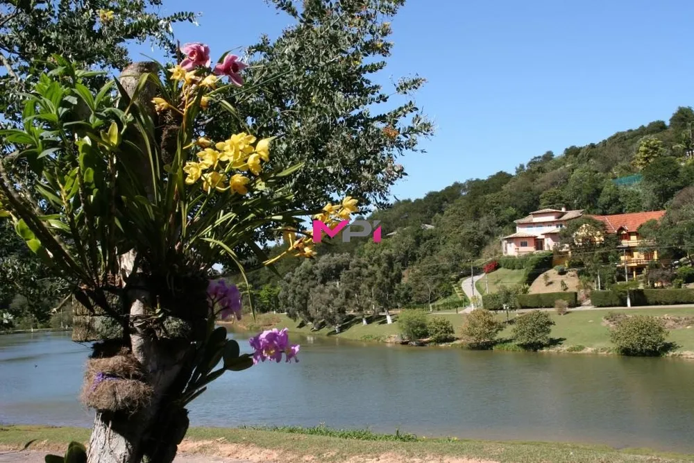 Terreno, 1040 m² - Foto 9