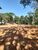 Terreno, 5880 m² - Foto 2