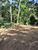 Terreno, 5880 m² - Foto 4