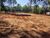 Terreno, 5880 m² - Foto 3
