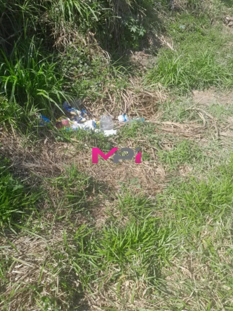 Terreno, 250 m² - Foto 5