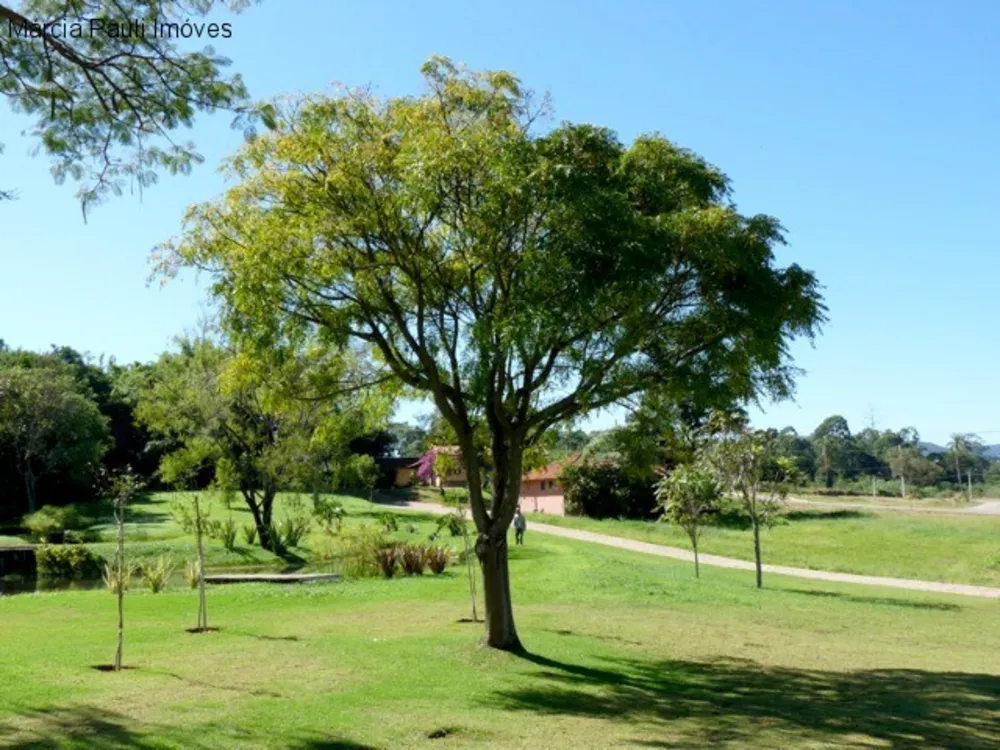 Terreno, 1050 m² - Foto 6