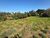 Terreno, 2000 m² - Foto 3