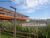 Terreno, 800 m² - Foto 2