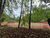 Terreno, 6200 m² - Foto 3