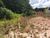 Terreno, 1323 m² - Foto 3
